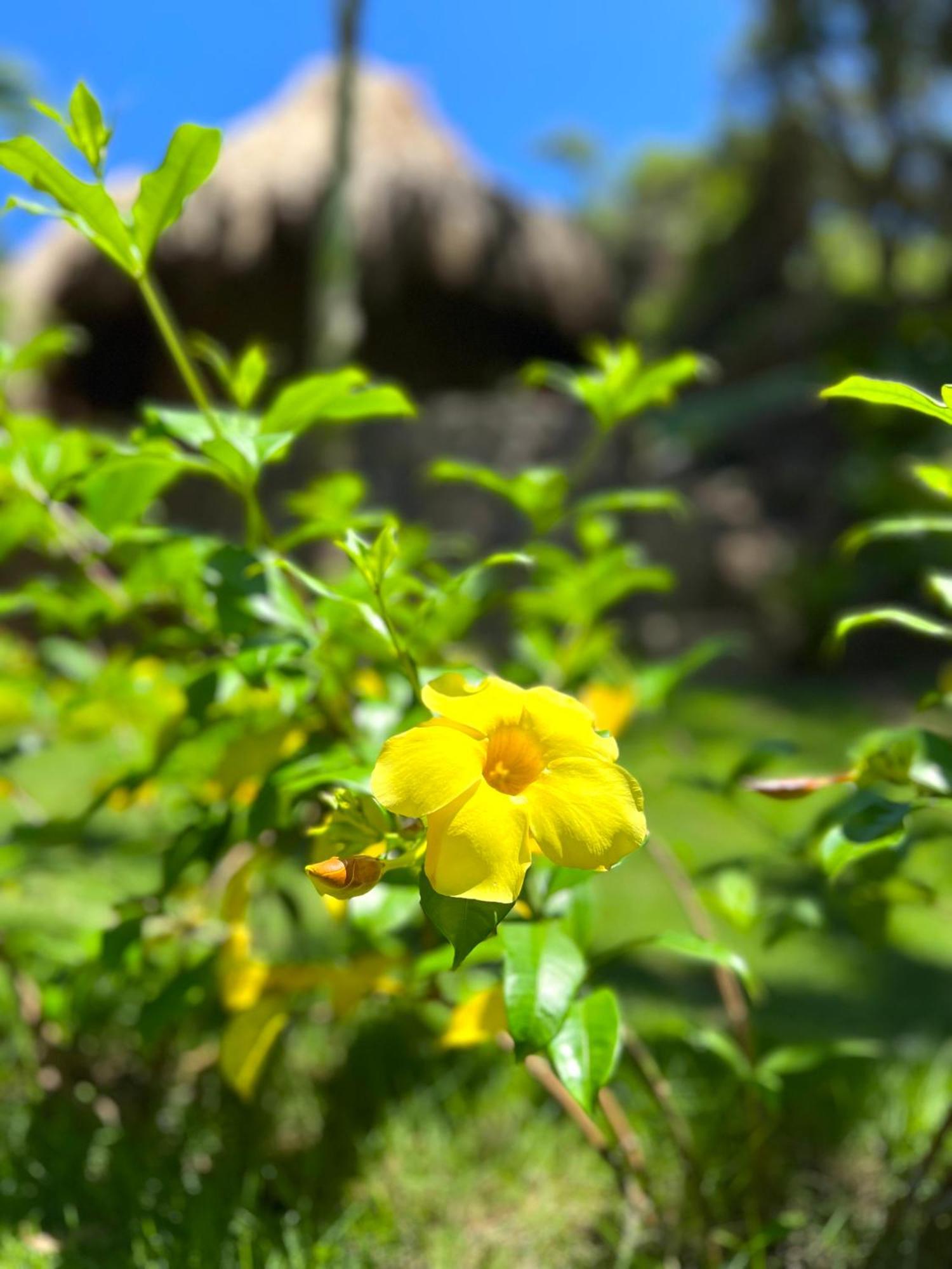 Zirwa Hotel Boutique - Dentro Del Parque Tayrona เอลไซโน ภายนอก รูปภาพ